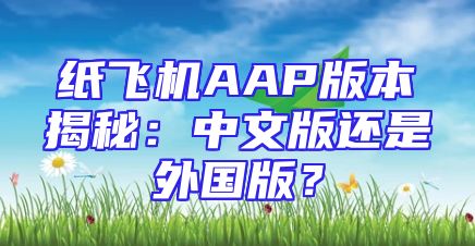 纸飞机AAP版本揭秘：中文版还是外国版？