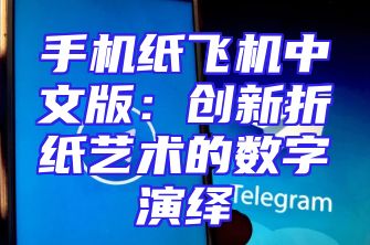 手机纸飞机中文版：创新折纸艺术的数字演绎