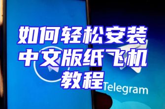 如何轻松安装中文版纸飞机教程