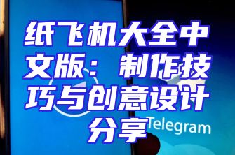 纸飞机大全中文版：制作技巧与创意设计分享