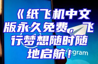 《纸飞机中文版永久免费，飞行梦想随时随地启航！