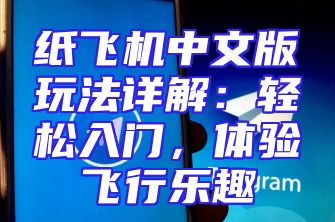 纸飞机中文版玩法详解：轻松入门，体验飞行乐趣