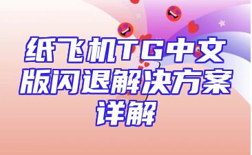 纸飞机TG中文版闪退解决方案详解