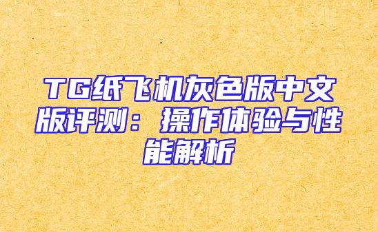 TG纸飞机灰色版中文版评测：操作体验与性能解析