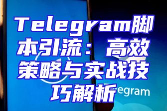 Telegram脚本引流：高效策略与实战技巧解析