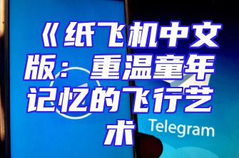 《纸飞机中文版：重温童年记忆的飞行艺术