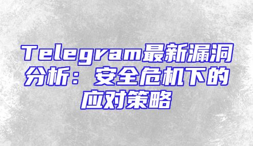 Telegram最新漏洞分析：安全危机下的应对策略