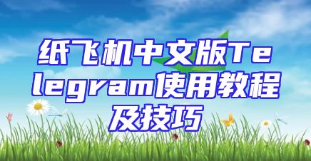 纸飞机中文版Telegram使用教程及技巧