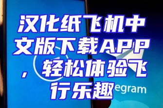 汉化纸飞机中文版下载APP，轻松体验飞行乐趣