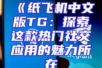 《纸飞机中文版TG：探索这款热门社交应用的魅力所在